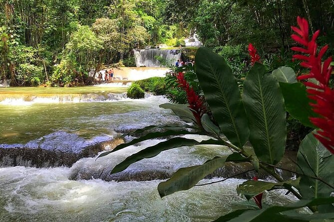 Ys Falls Private Tour - Transportation Details