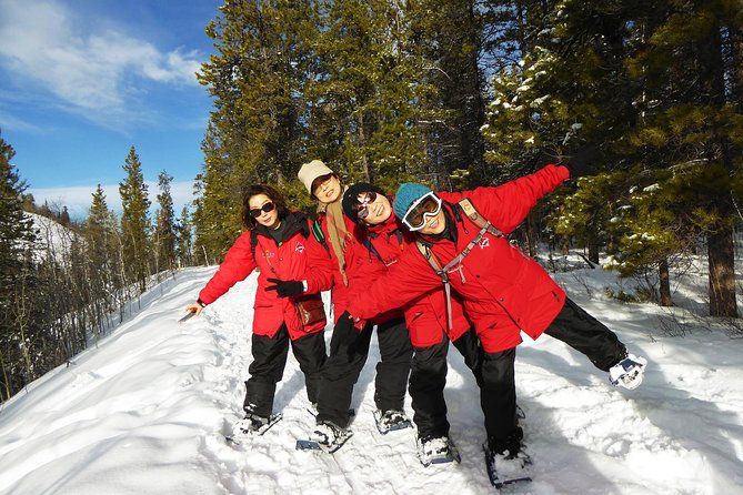 Yukon Snowshoeing Adventure | Half Day - Wildlife and Historical Insights