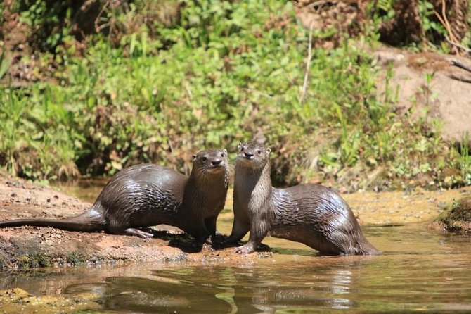 Yungas and El Rey National Park 4x4 Full Day Tour From Salta - Inclusions and Itinerary