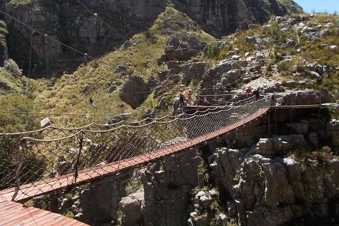 Ziplining Elgin - Highlights of the Tour