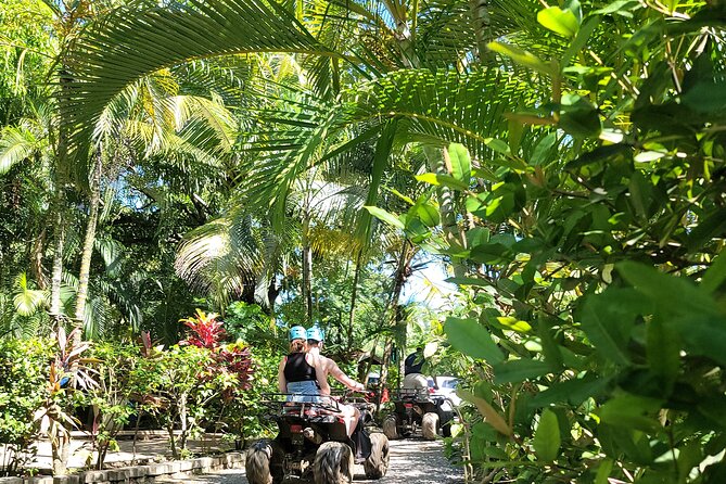 Zipp Line + Animal Sanctuary +Atvs City Walk + Rum & Chocolate Factory - Navigating the ATV City Tour