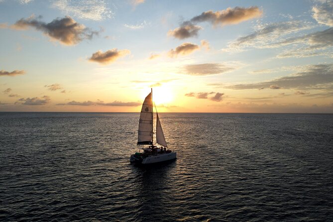 Zodiac RIB Pro Explorer Private Charter 4hr - EL CIELO SANDBAR - Inclusions
