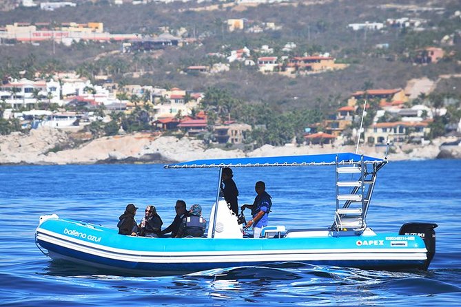 Zodiac Whale Watching Adventure - Incl FREE Photos & Whale Sightings Guarantee - Inclusions and Amenities