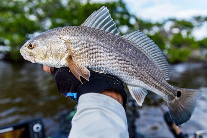 3/4 Day Private Fishing Trip Naples Bay, FL and the Gulf - Good To Know