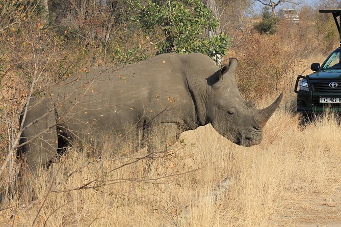 3 Day All Incl. Private Kruger Park Safari Incl. Transfer From Johannesburg - Good To Know
