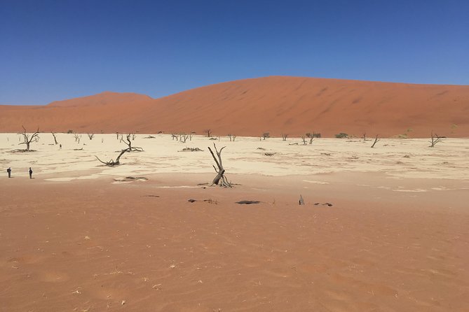 3 Day Camping Safari at Sossusvlei - Good To Know