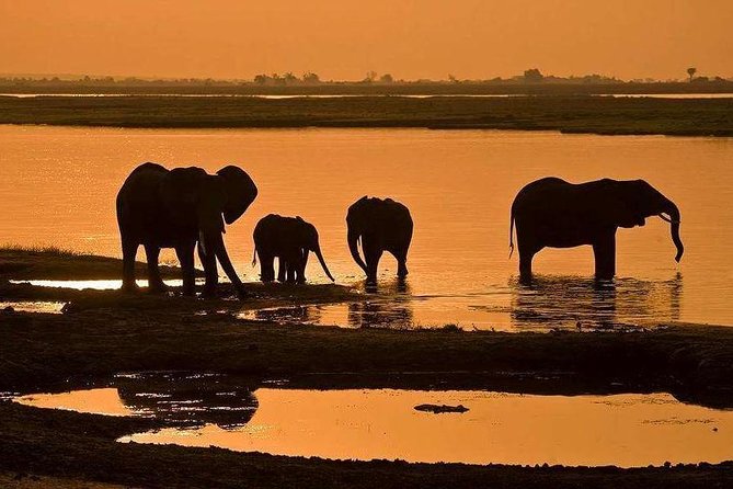 3 Day Chobe National Park Camping Tour - Tour Overview