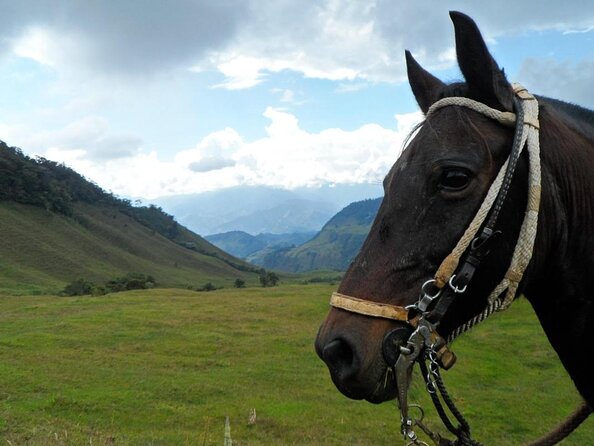 3-Day Colonial Coffee Trail - About Your Stay