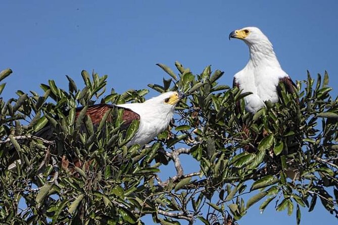 3 Day Kruger National Park Safari & Panorama Route - Overview of the Tour