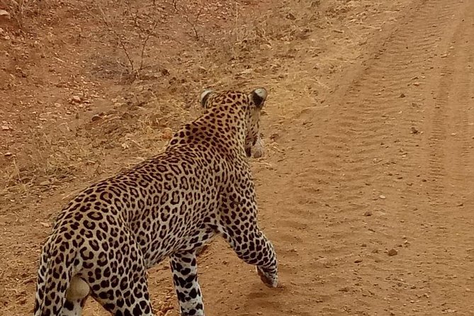 3 Day Maasai Mara Budget Camping Group Safari