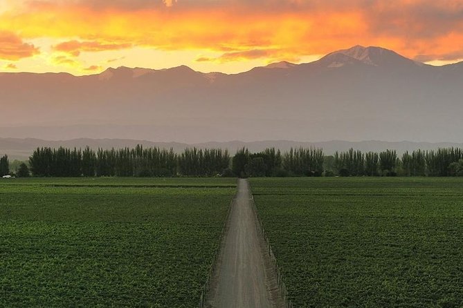 3-Day Mendoza Enchanted Vine Retreat With Optional Airfare - Good To Know