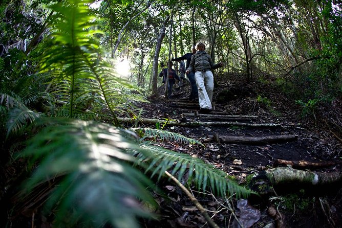 3-Day Private Hiking Trail in The Overberg - Good To Know