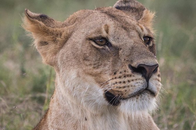 3-Day Selous Reserve Mid-Range Safari - Good To Know