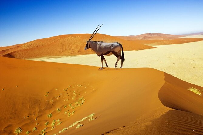 3-Day Sossusvlei Express Accommodated Safari From Swakopmund - Good To Know