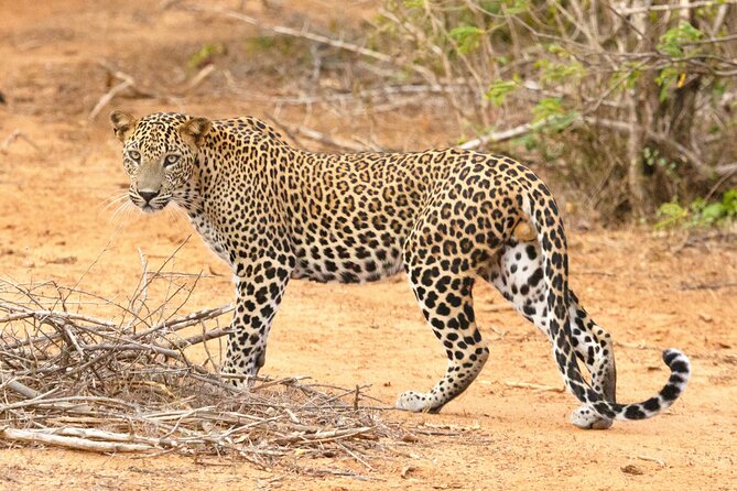 3-Days 2-nights Tanzania Midrange Group Join Safari - Key Points