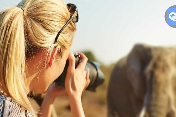 3 Days and 2 Nights Mikumi Private Safari Adventure - Tour Overview