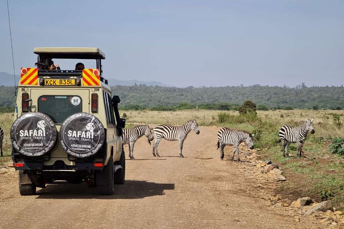 3 Days Best of Masaimara Wildlife Private Safari, Mid-Range Offer - Overview of the Safari