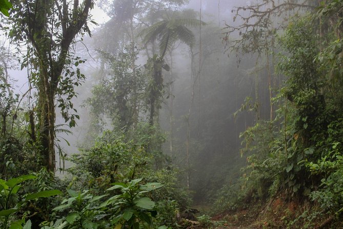 3 Days Mashpi Cloud Forest - About Your Stay