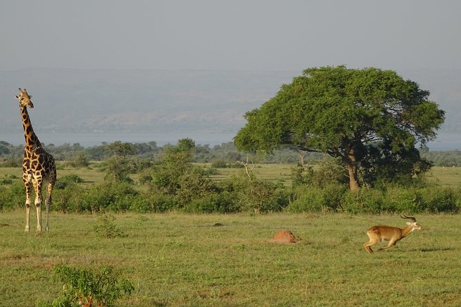 3 Days Murchison Falls Park Uganda - Good To Know