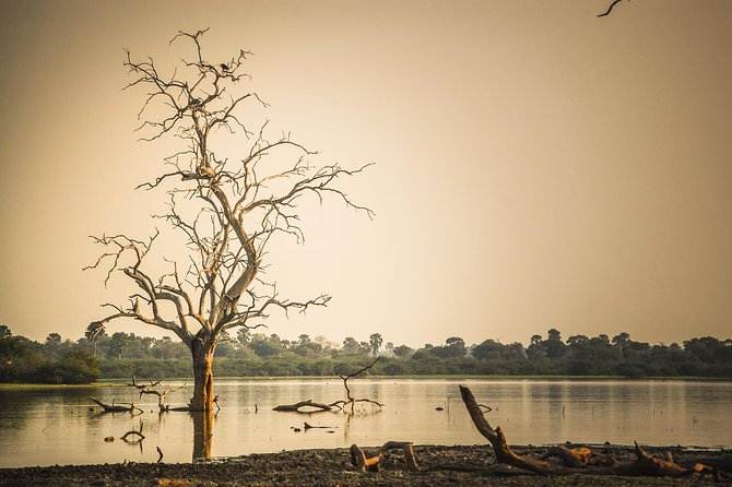 3 Days Safari - Selous Game Reserve - Good To Know
