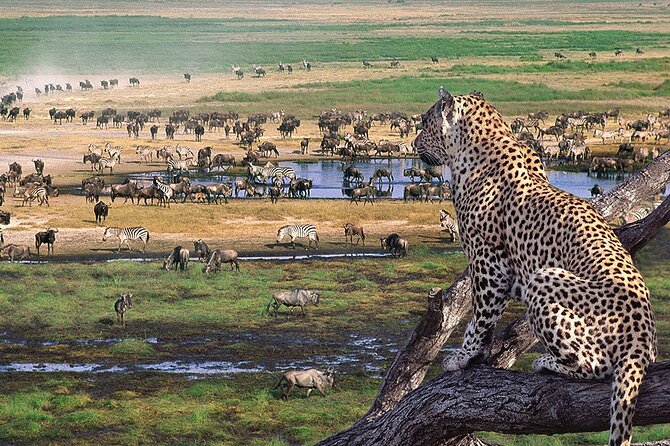 3 Days Safari to Tarangire, Ngorongoro and Manyara From Zanzibar - Safari Package Overview
