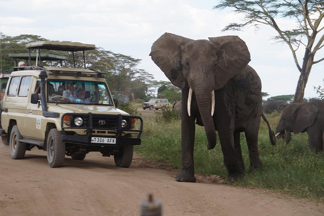 3 Days Serengeti and Ngorongoro Crater Safari From Mwanza to Arusha - Good To Know