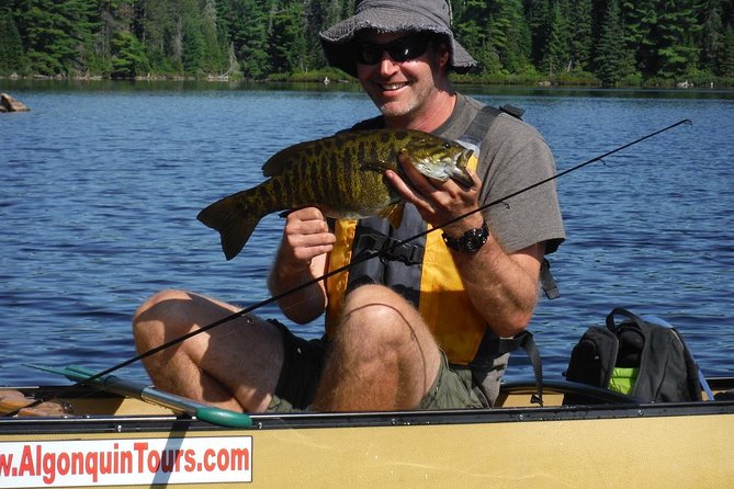 3 Hour Algonquin Park Bass & Trout Fishing (Private- Price Is for 1 or 2 People) - Good To Know
