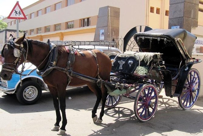 3-Hour Private Luxor Horse Carriage City Tour - Included Experiences