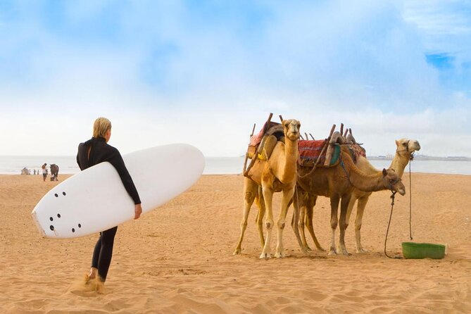 3 Hours Horse Riding in Essaouira, Beach, Forest and Dunes - Good To Know