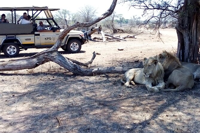 3 Night & 4 Day Private Kruger Park Safari - Good To Know