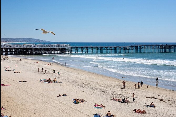 1 Day Adult Surf Retreat in San Diego - Customer Reviews and Experiences