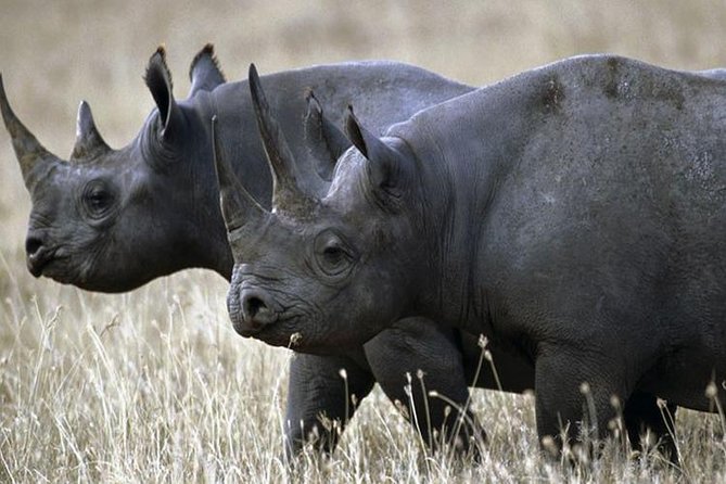 1 Day Akagera Wildlife Safari ( 2 Pax Min) - Inclusions and Exclusions