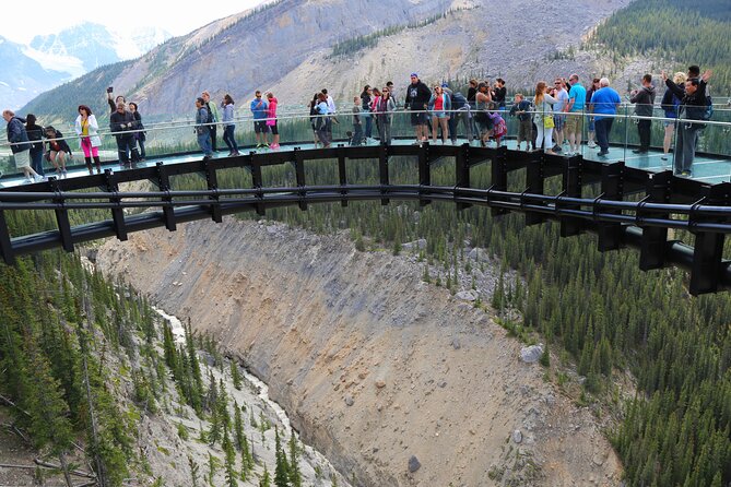 1 Day Columbia Icefield | Ice Explorer | Peyto Lake |From Calgary - Pricing and Cancellation Policy