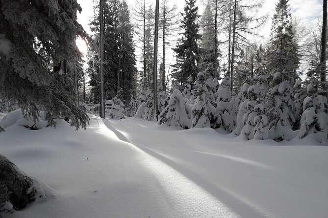 1-Day Private Snowshoe Hike in the Gorce Mountains Near Krakow - Meeting and Pickup Details