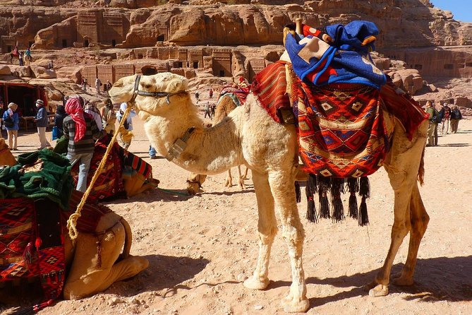 1 Day Tour to Petra From Sharm-el-Sheikh - Lengthy Journey Challenges