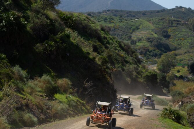 1 Hour Buggy Safari Experience in the Mountains of Mijas With Guide - Safety and Physical Requirements