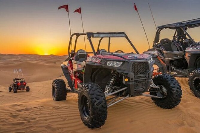 1-Hour Dune Buggy Self Drive With Camel Ride and Sand Boarding in Red Dunes - Scenic Stop at Desert Edge