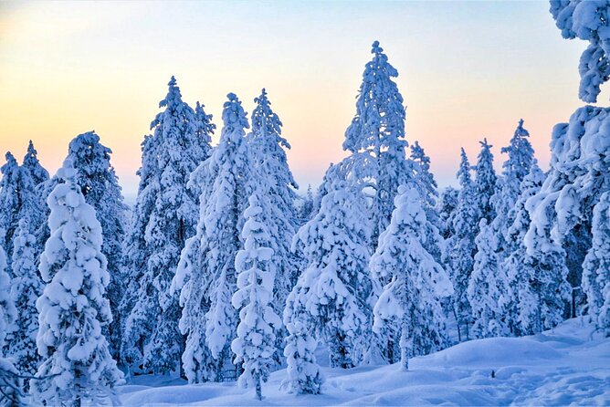1-Hour Snowmobile Safari Adventure in Rovaniemi - Safety Considerations