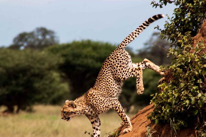 10 Days / 9 Nights Join Group Safari - Meeting and Pickup Details