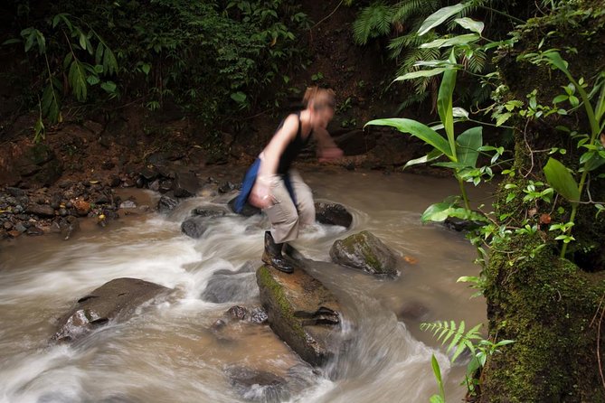 10 Days Caribbean to Pacific From San Jose - Transportation and Guide