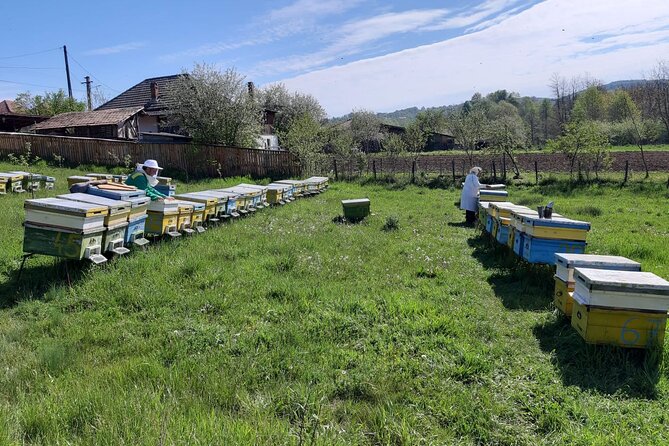 10 Hours Private Apiary Tour in Romania - From Bucharest - Traditional Lunch