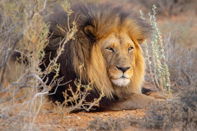 10 Namibia Adventures - Cultural Immersion in Namibia