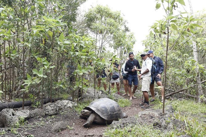 11 Days Galapagos Full Experiences Santa Cruz- Isabela - San Cristobal - Guided Excursions
