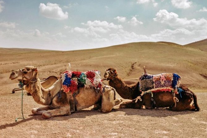 11 Days Morocco Epic Private Tour - Casablanca to Marrakesh via Chaouen & Desert - Transportation Details