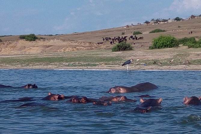11 Days Uganda +Gorillas - Pickup and Meeting Points