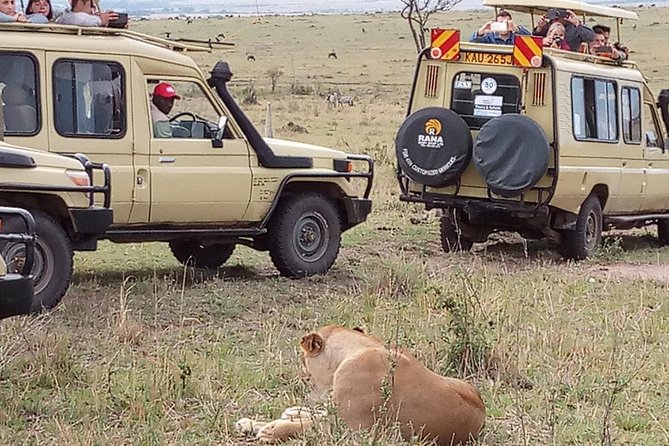 12-DAY Kenya and Tanzania Budget Private Safari From Nairobi - Safari Experience