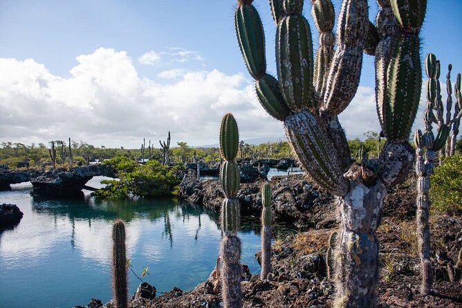 12 Days Exploring Galapagos Santa Cruz- Isabela - San Cristobal - Participant Requirements