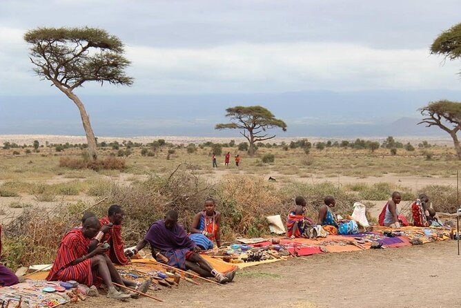 13-Day Private Wildlife Safari Tour of Kenya and Tanzania - Accommodation Options