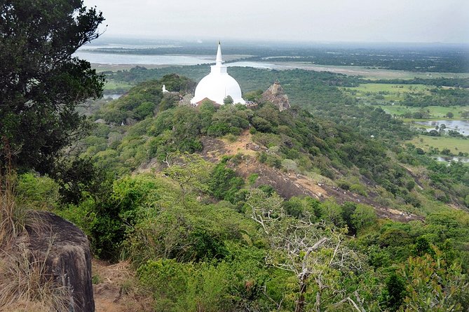 14-Nights/15-Days Sri Lanka Round Tour by Car - With Nilaveli Beach - Transportation and Driver Services