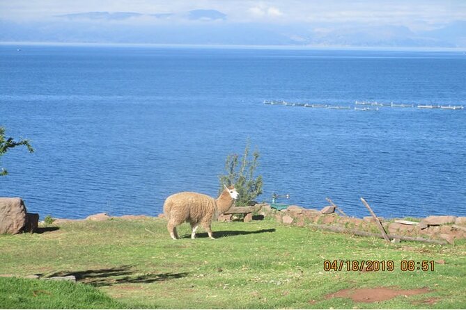 15-Day Tour of Peru Family Travel - Important Travel Details